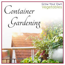 Home Grow Your Own Vegetables