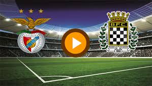 O site foi lançado no dia 01 de junho de 2018 e pretende Benfica X Boavista Ao Vivo Hd Veja Onde Assistir Liga Nos Em Directo Tudo Tv Futemax Futebol Ao Vivo
