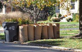 Fall Leaves In Eco Friendly Paper Bags