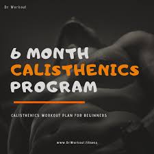 calisthenics workout plan for beginners