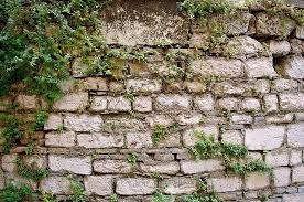 Stone Wall With Greenery Brick Wall