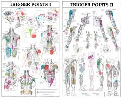 We Analyzed 2 145 Reviews To Find The Best Trigger Point Chart