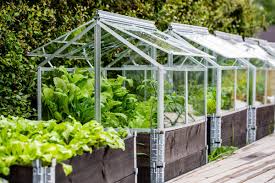 how to build a diy small greenhouse in