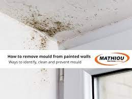 How To Remove Mould From Painted Walls