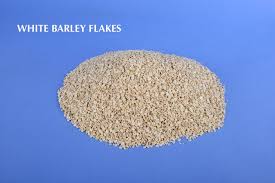food organic barley flakes