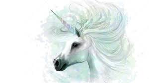 300 unicorn wallpapers wallpapers com