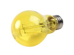 Philips Non Dimmable 4 Watt Yellow A19 Filament Led Party Bug Light Bulb Outdoor Rated 4a19 Led Yellow G E26 Nd Bulbs Com