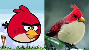 Angry Birds Characters In Real Life | All Characters 2017 - YouTube