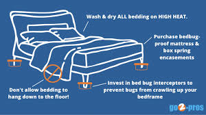 comprehensive diy bed bug treatment