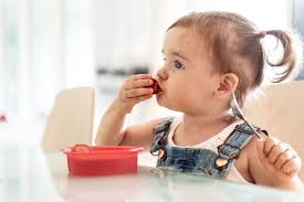 Food Portion Sizes For Toddlers And Kids