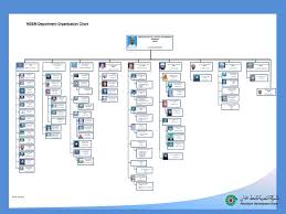 Msem Department Organization Chart Ppt Download