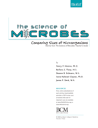 Comparing Sizes Of Microorganisms Biology Resource