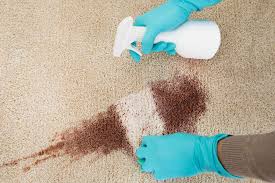 how to clean a carpet removing stains