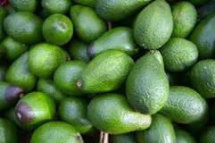 What state produces the most avocados?