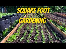 400 Square Foot Garden