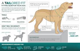 Kurgo Tru Fit Dog Harness Dog Walking Harness Includes No