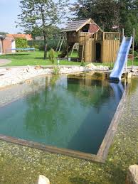 Backyard Pool Natural Swimming Pools