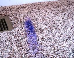 how to remove acrylic paint from carpet