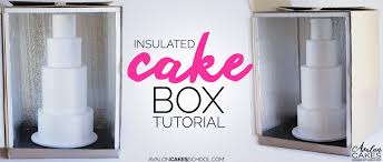 Insulated Cake Delivery Box Tutorial