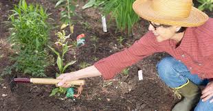 best soil for a vegetable garden