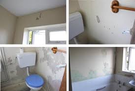 how to remove mould before painting