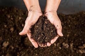 average cost of garden soil bulk soil
