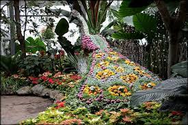 allan gardens conservatory toronto