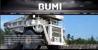 Image result for PT Bumi Resources Tbk