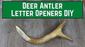 deer antler letter openers diy you