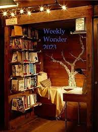 Weekly Wonder 2023 Showing 1 50 Of 92