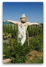 vegetable garden scarecrows ideas