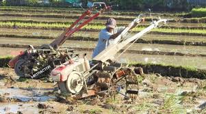 Silahkan kunjungi postingan membajak sawah dengan menggunakan bajak untuk membaca artikel selengkapnya dengan klik link di atas. 15 Alat Pertanian Tradisional Modern Beserta Fungsinya Salamadian