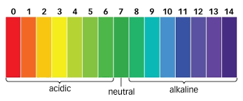 Ph Scale Defined What Is Ph Jan San Consulting
