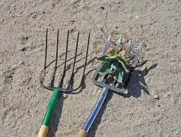 spading fork is must have gardening tool