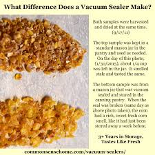 Vacuum Sealers What You Need To Know Before You Buy