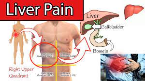 liver pain right upper abdominal