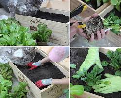 Mini Garden With Recycled Items
