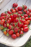 what-is-the-best-grape-tomato-plant