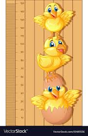 Growth Chart Ruler With Little Chicks
