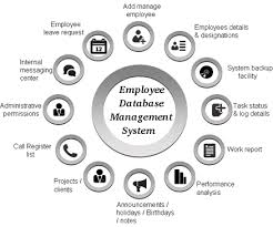 Employee Database Management System Time Attendance Software