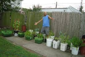 backyard urban vegetable garden ideas