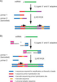 This page is about the meanings of the acronym, abbreviation for cdna. Library Construction For Next Generation Sequencing Overviews And Challenges Biotechniques