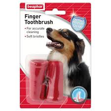 Gently place your cat on your lap and let her settle in start by gently touching or manipulating your cat's mouth. Beaphar Finger Toothbrush For Dogs Cats 2 Per Pack At Fetch Co Uk The Online Pet Store