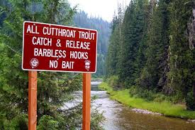 A Small Slice Of Fly Fishing Heaven The North Fork Of The