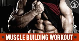 muscle building workouts for men power
