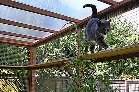 7 catio kits perfect for the diy cat owner