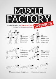 muscle factory upperbody workout