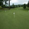 True Putt Creeping Bluegrass Seed - True Putt Golf Green Seed
