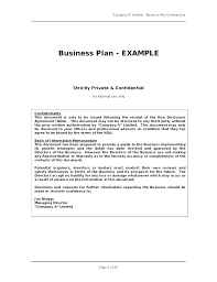 Real Estate Investment Business Plan Template