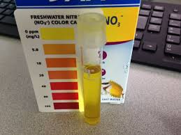Nitrates Tested Salifert Vs Api Monsterfishkeepers Com
